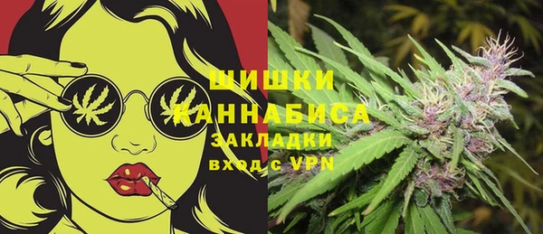 стаф Козловка