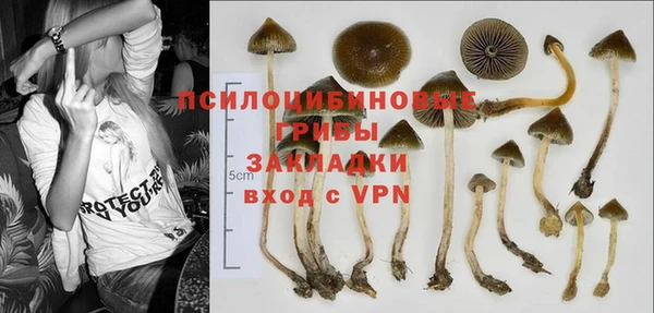 мескалин Балахна