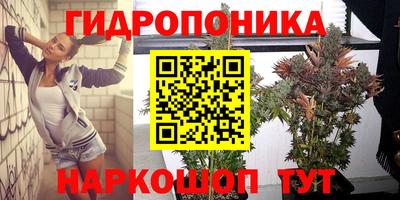 бошки Краснодар