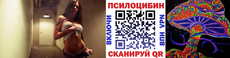 как найти наркотики  Унеча  Галлюциногенные грибы прущие грибы 