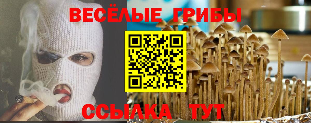 Галлюциногенные грибы GOLDEN TEACHER Унеча