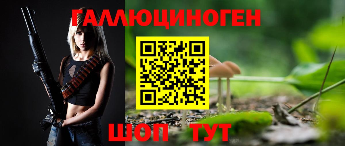 Унеча  Псилоцибиновые грибы MAGIC MUSHROOMS  Вход с VPN 